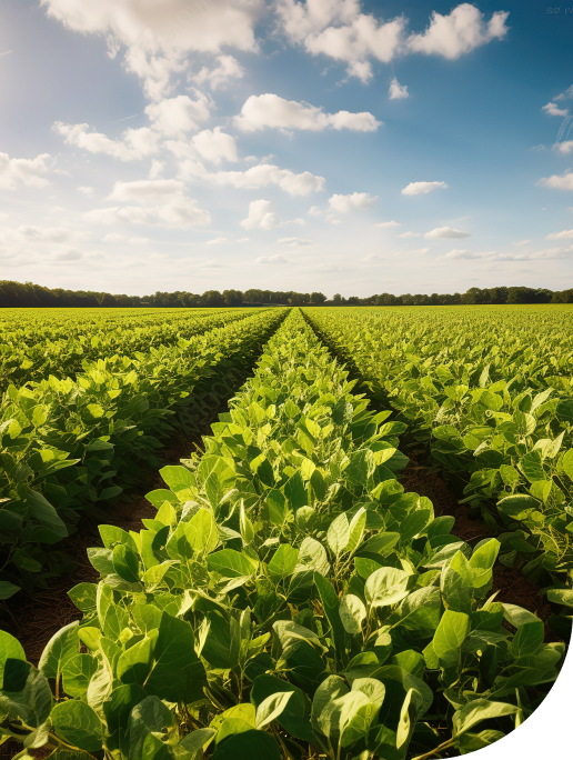 Tenha uma solução de crédito pensada especialmente para o seu modelo de negócio​